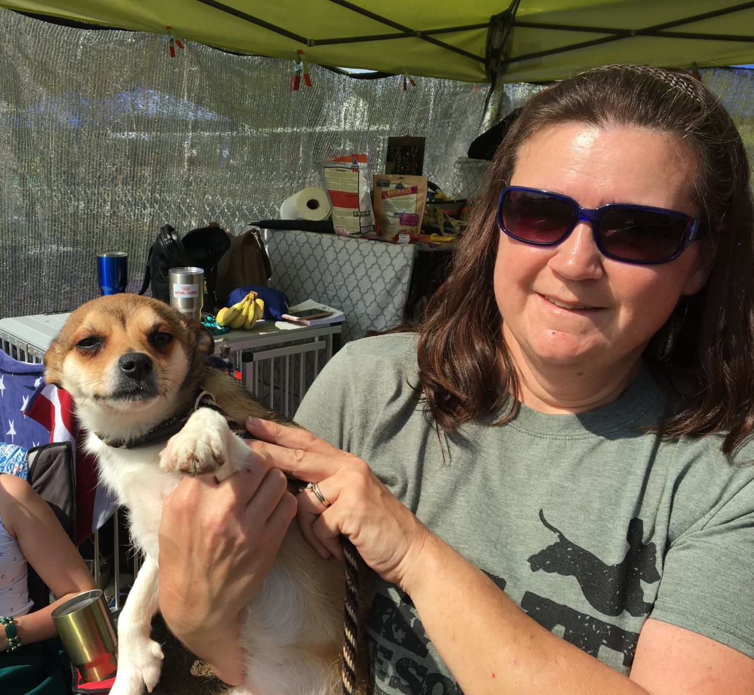 Dog Show - Pikku, a Norwegian Lundehund, & Carrie Riley